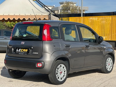 Fiat Panda Cross Cross 1.0 FireFly S&S Hybrid (7)