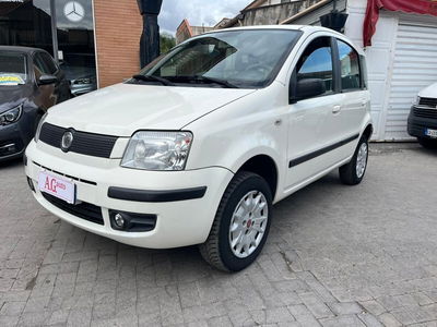 Fiat Panda 1.2 4x4 usata