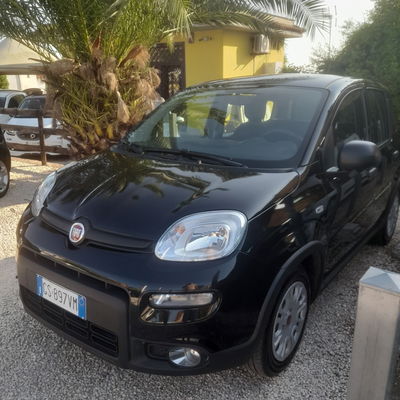 Fiat Panda 1.0 FireFly S&S Hybrid nuova