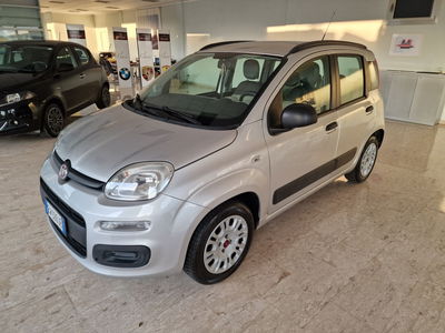 Fiat Panda 1.2 Lounge usata