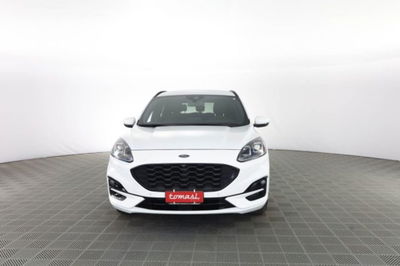 Ford Kuga 2.0 EcoBlue 120 CV aut. 2WD ST-Line X usata