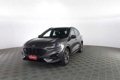 Ford Kuga 2.0 EcoBlue 120 CV aut. 2WD ST-Line X usata