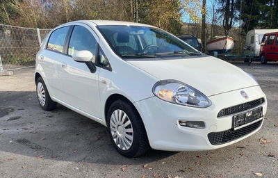 Fiat Punto 1.3 MJT II S&S 85 CV 5 porte ECO Lounge usata