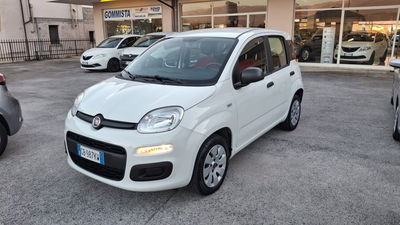 Fiat Panda 1.2 Pop usata