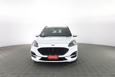 Ford Kuga 2.0 EcoBlue 120 CV aut. 2WD ST-Line X usata