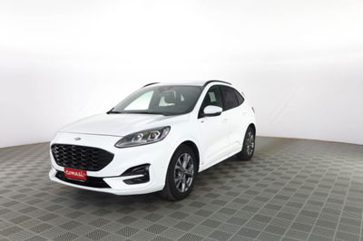 Ford Kuga 2.0 EcoBlue 120 CV aut. 2WD ST-Line X usata