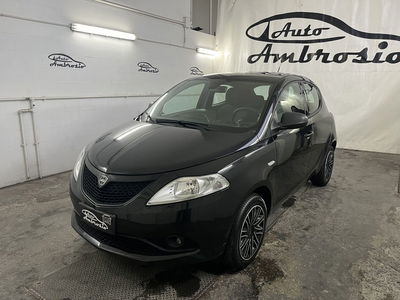 Lancia Ypsilon 1.2 69 CV 5 porte Platinum usata