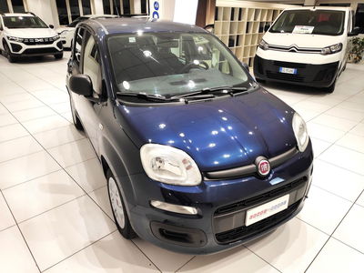 Fiat Panda 1.2 usata