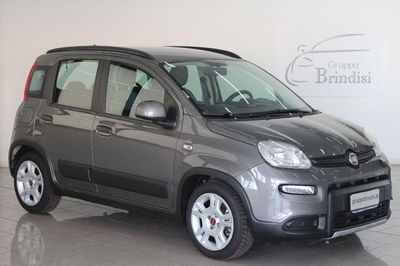 Fiat Panda 1.0 FireFly S&S Hybrid City Cross usata