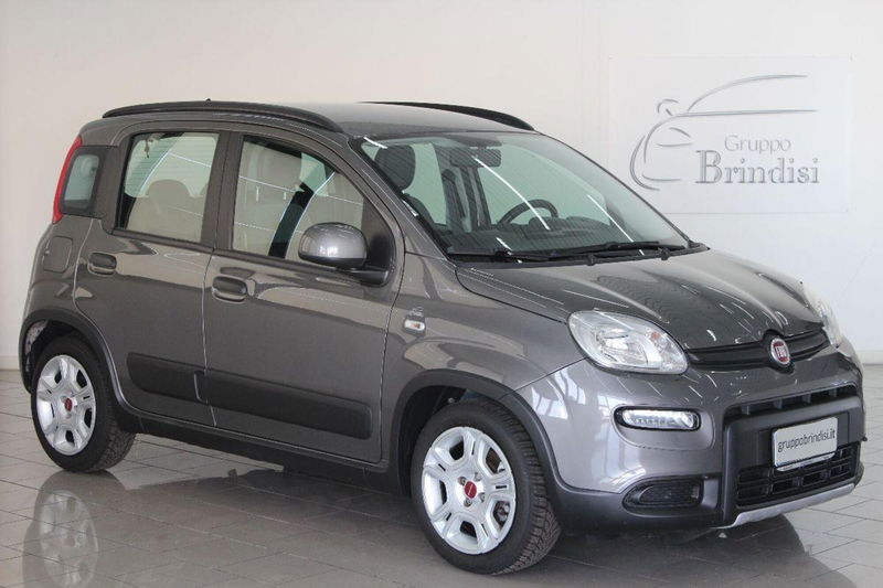 Fiat Panda 1.0 FireFly S&S Hybrid City Cross