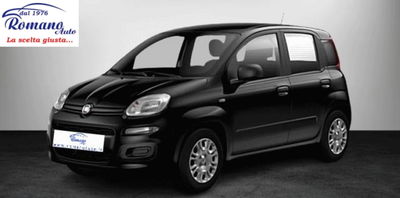 Fiat Panda 1.0 firefly hybrid s&s 70cv 5p.ti usata