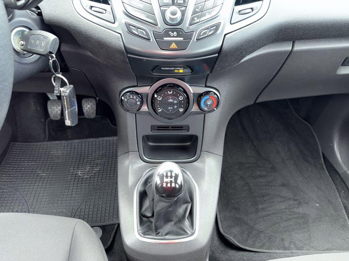 Ford Fiesta 1.5 TDCi 75CV 5 porte Black & White Edition (15)