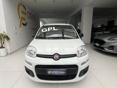 Fiat Panda 1.2 EasyPower usata