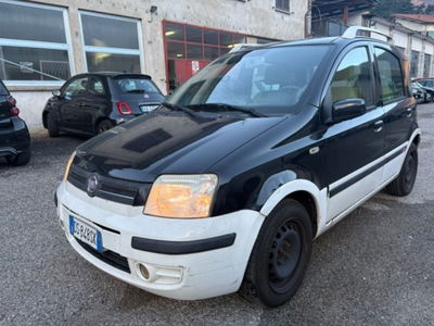 Fiat Panda 1.2 Alessi usata