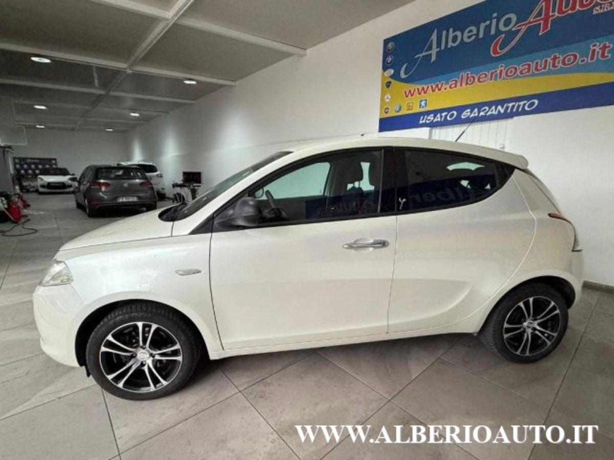 Lancia Ypsilon 1.2 69 CV 5 porte Platinum (6)