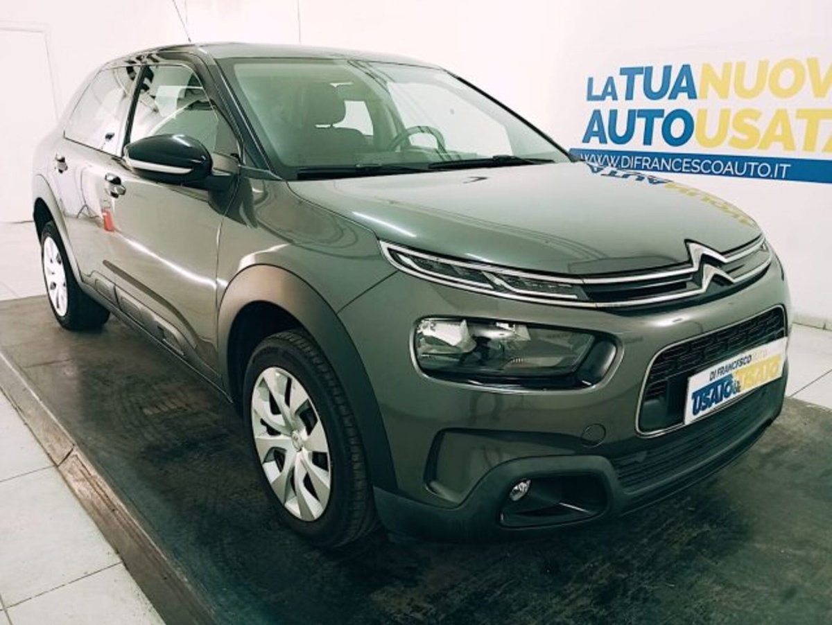 Citroen C4 Cactus PureTech 110 S&S Feel (3)