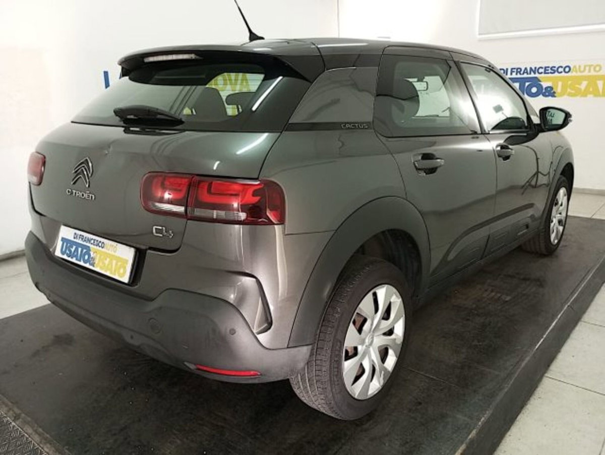 Citroen C4 Cactus PureTech 110 S&S Feel (4)