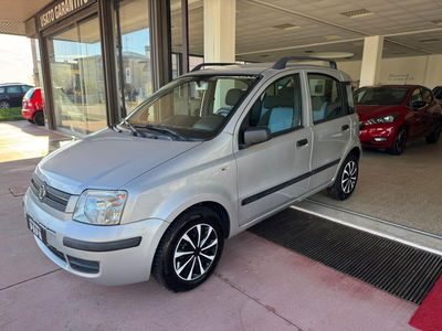 Fiat Panda 1.2 Dynamic usata