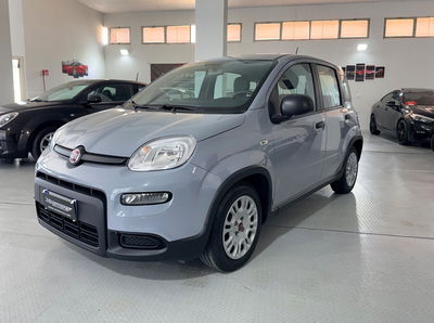 Fiat Panda 1.0 FireFly S&S Hybrid usata