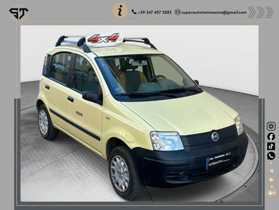 Fiat Panda 1.2 4x4 usata