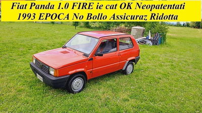 Fiat Panda 1000 i.e. cat CL usata