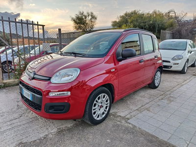 Fiat Panda 1.2 Easy usata