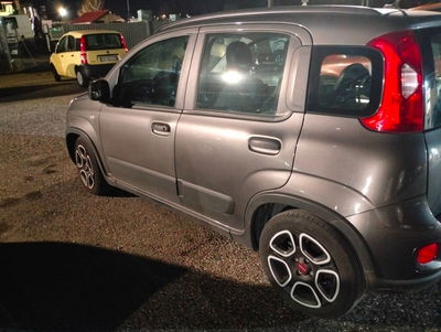 Fiat Panda 1.0 FireFly S&S Hybrid City Cross usata