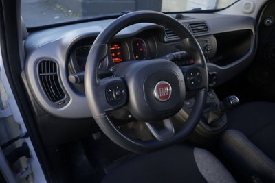 Fiat Panda Cross Cross 1.0 FireFly S&S Hybrid (14)