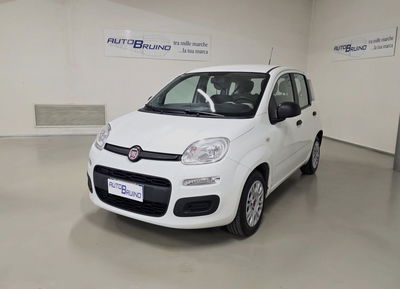 Fiat Panda 1.2 EasyPower Easy usata