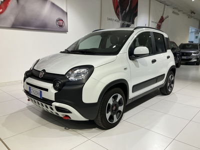 Fiat Panda Cross Cross 1.0 FireFly S&S Hybrid usata