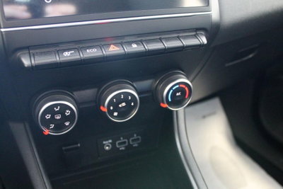 Renault Captur Blue dCi 95 CV Business (18)