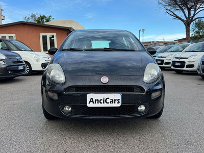 Fiat Punto 1.2 8V 5 porte Lounge usata