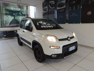 Fiat Panda 0.9 TwinAir Turbo S&S 4x4 Wild usata