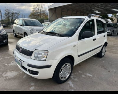 Fiat Panda 1.4 Natural Power usata