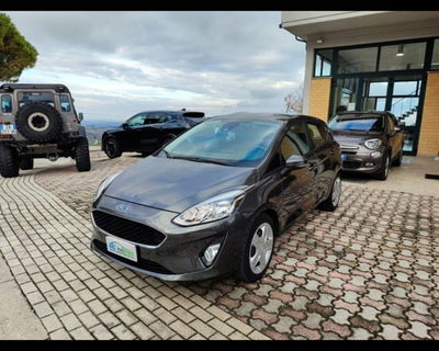 Ford Fiesta Plus 1.5 TDCi 75CV 5 porte usata