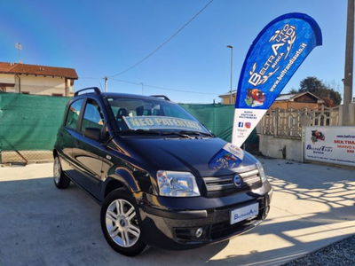 Fiat Panda 1.2 Emotion Dualogic usata