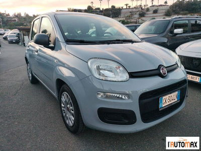 Fiat Panda 1.0 firefly hybrid Pop s&s 70cv usata