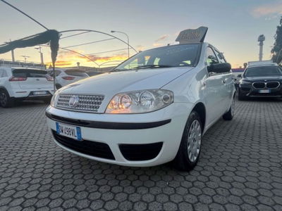 Fiat Punto Classic 1.2 5 porte Active GPL usata