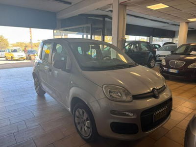 Fiat Panda 1.2 Easy usata