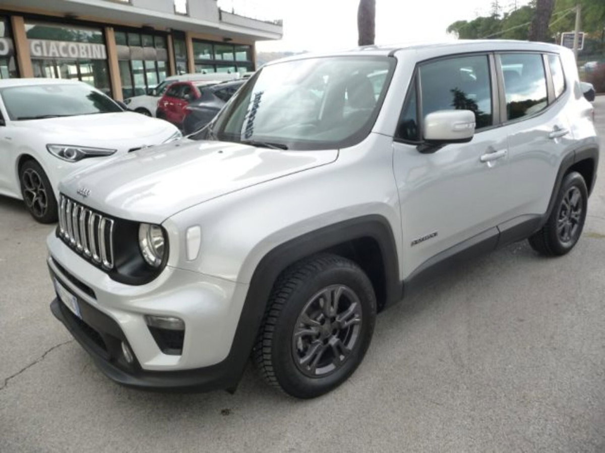 Jeep Renegade 1.6 Mjt 130 CV Business (2)