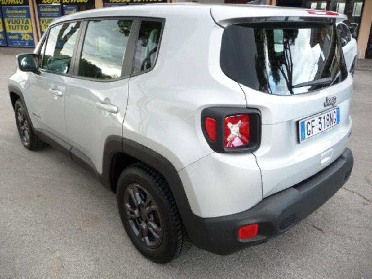Jeep Renegade 1.6 Mjt 130 CV Business (3)
