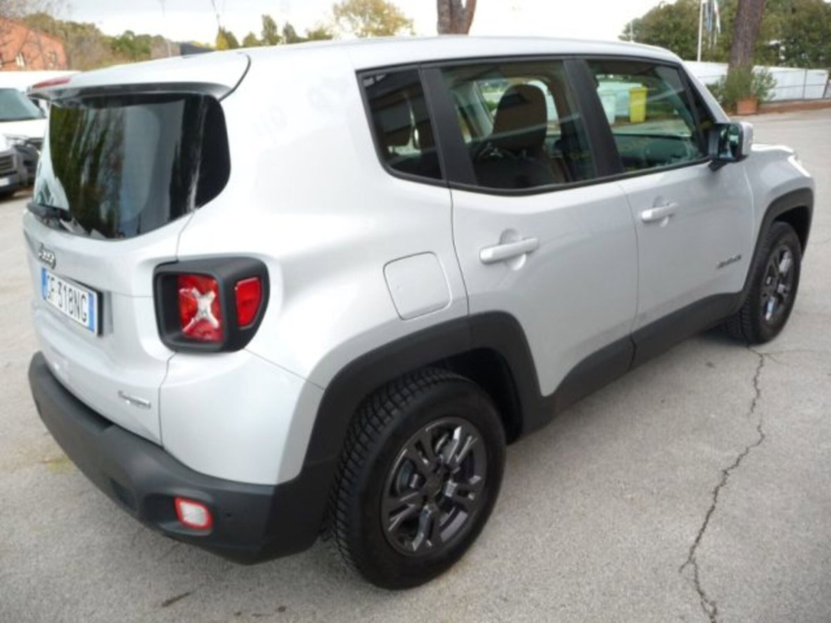 Jeep Renegade 1.6 Mjt 130 CV Business (4)