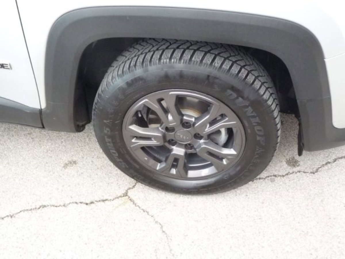 Jeep Renegade 1.6 Mjt 130 CV Business (5)