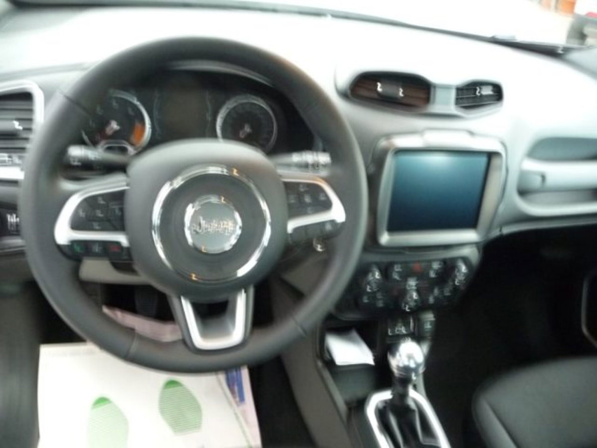 Jeep Renegade 1.6 Mjt 130 CV Business (8)