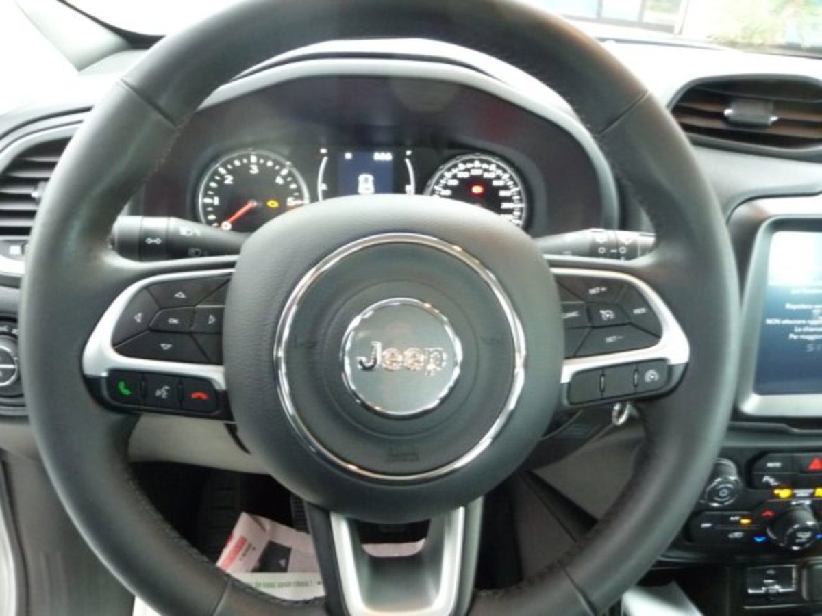 Jeep Renegade 1.6 Mjt 130 CV Business (9)