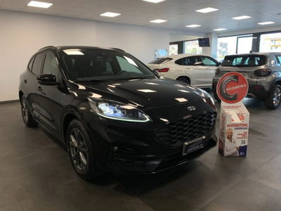 Ford Kuga 1.5 EcoBlue 120 CV aut. 2WD ST-Line X Design usata