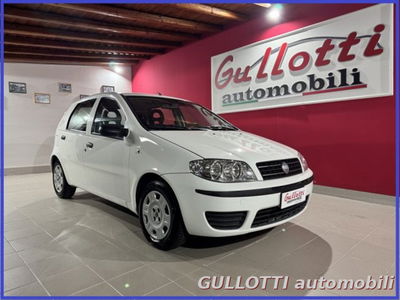 Fiat Punto 1.3 Multijet 16V 5 porte Dynamic usata