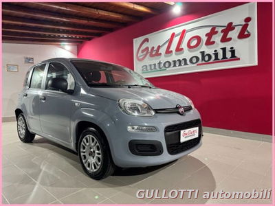 Fiat Panda 1.2 Easy usata
