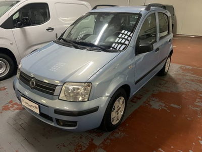 Fiat Panda 1.1 Active usata