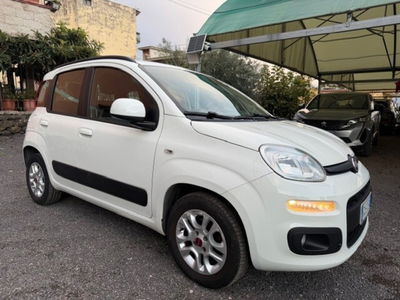 Fiat Panda 1.2 Lounge usata